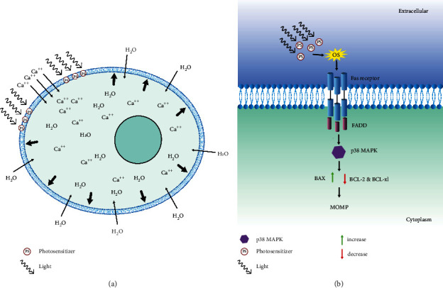 Figure 9