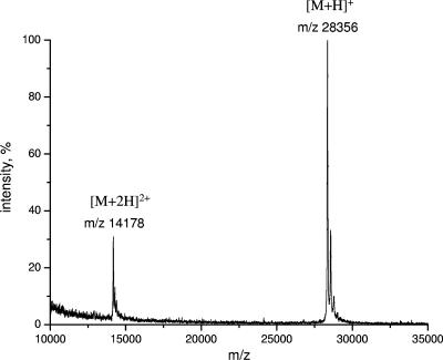 FIG. 2.