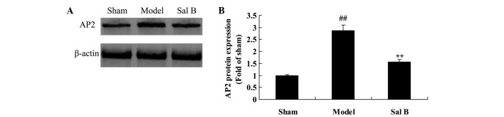 Figure 6.