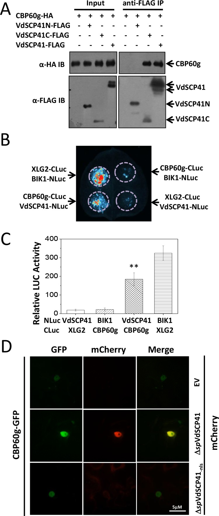 Figure 3.