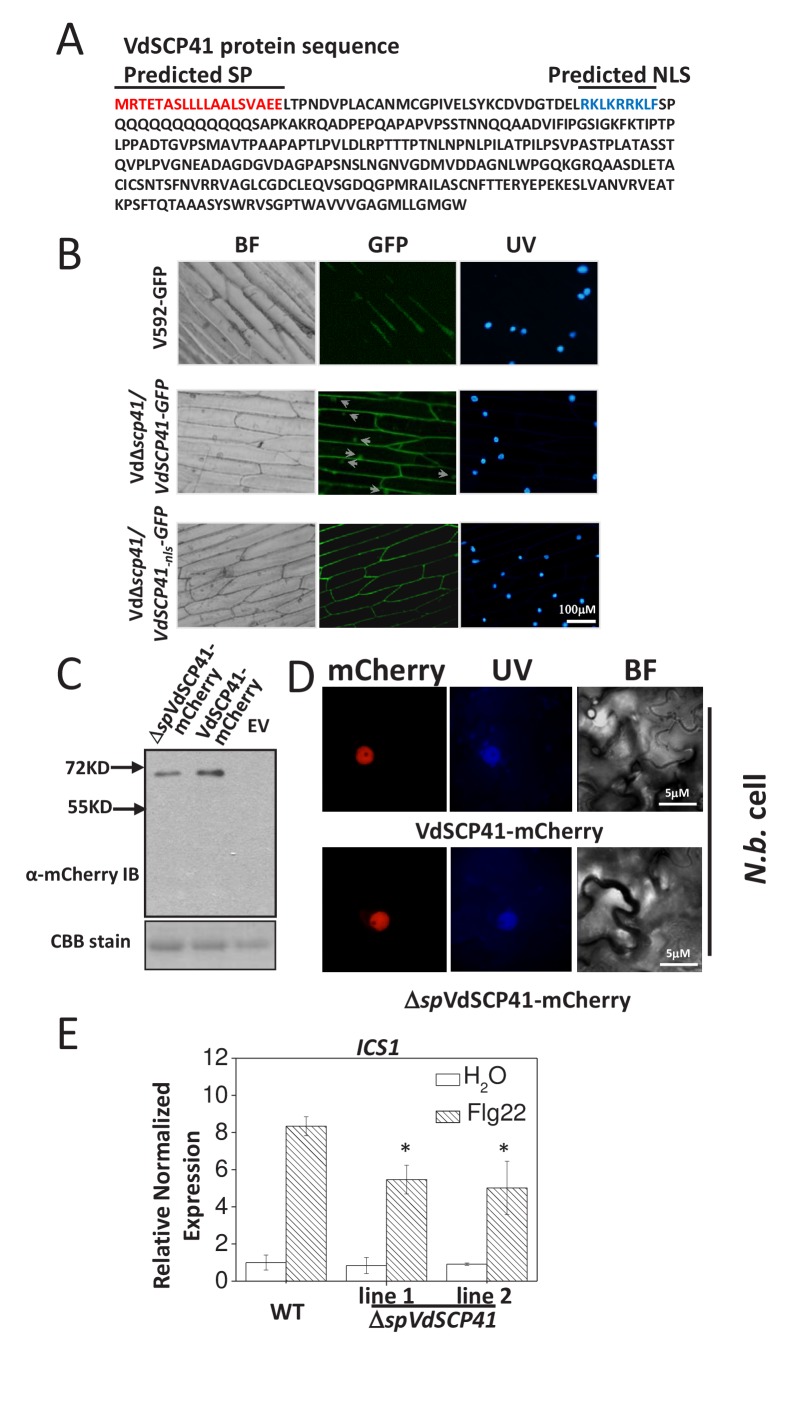 Figure 2—figure supplement 1.