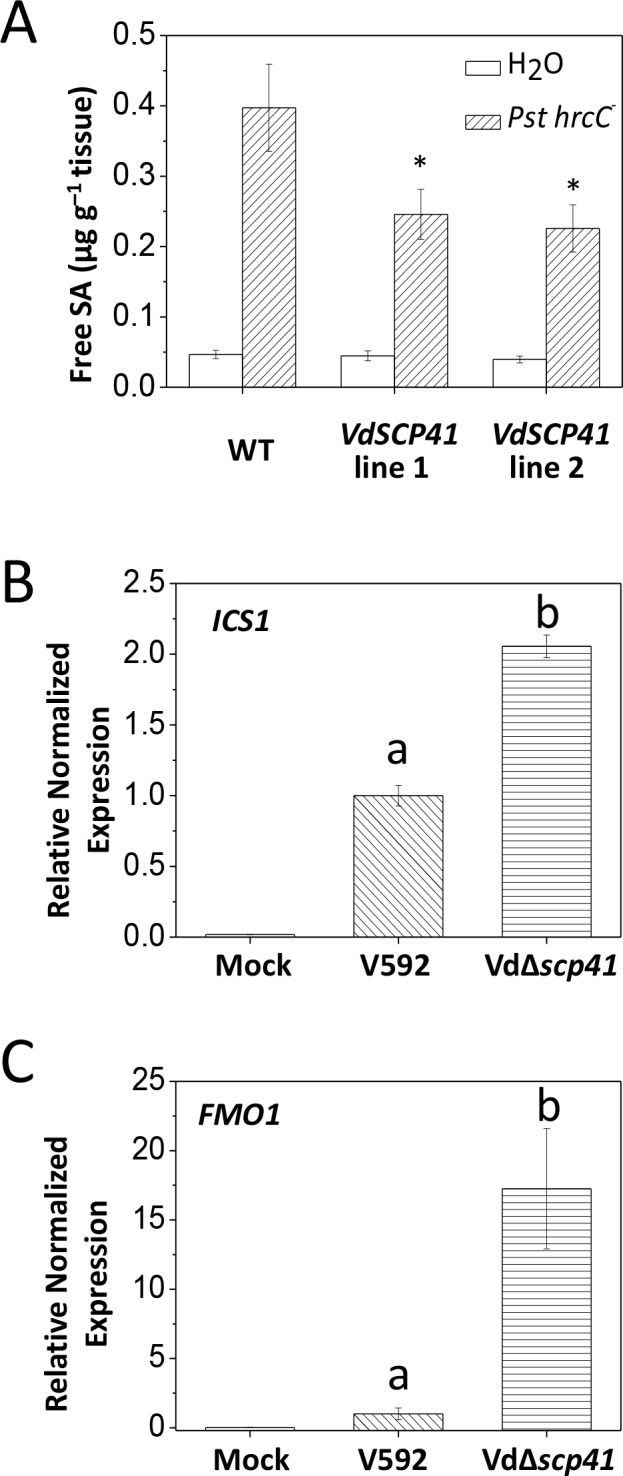 Figure 2—figure supplement 2.