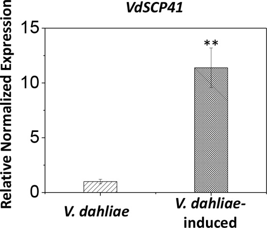 Figure 1—figure supplement 1.