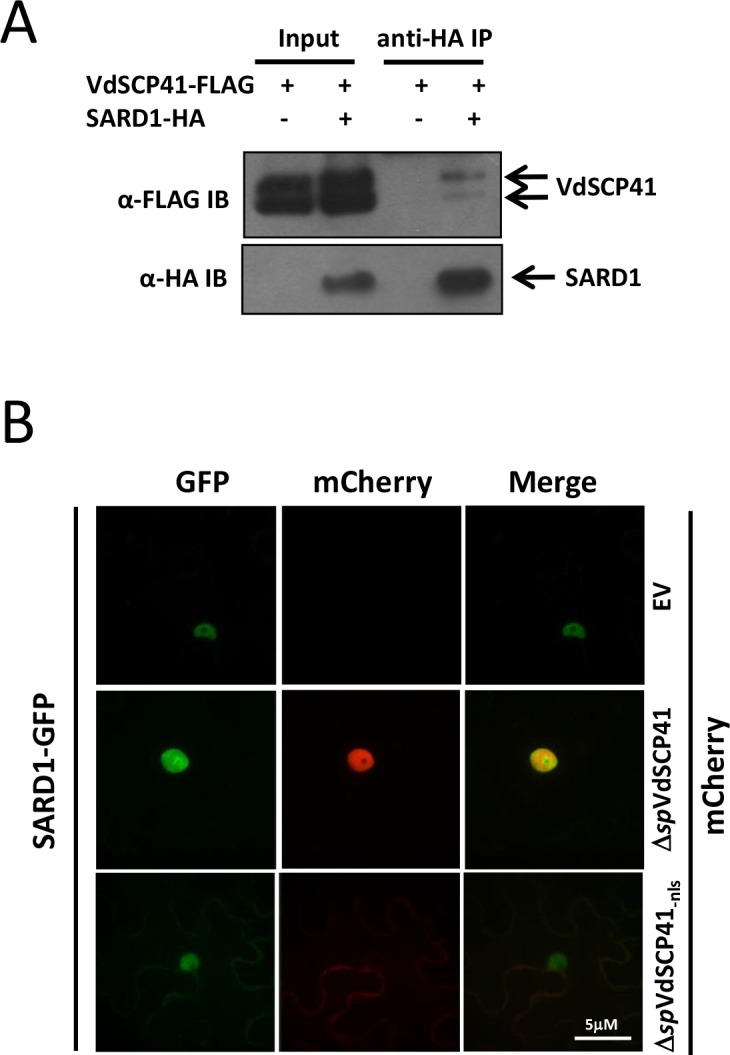 Figure 3—figure supplement 2.