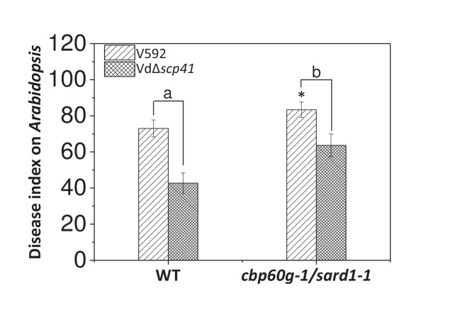 Figure 6.