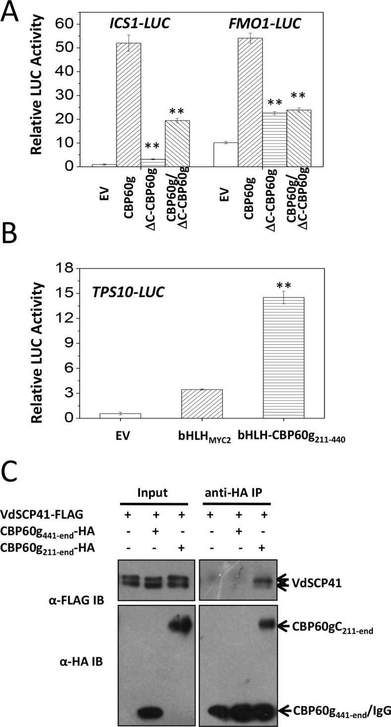 Figure 5.