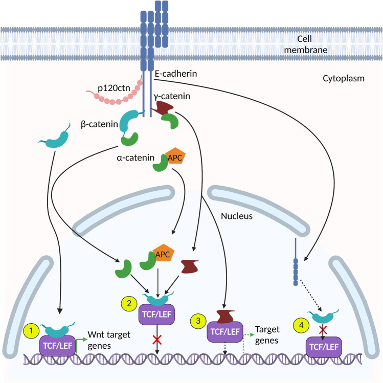 FIGURE 2