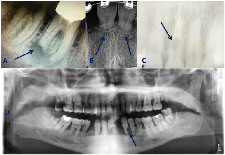 Figure 5.