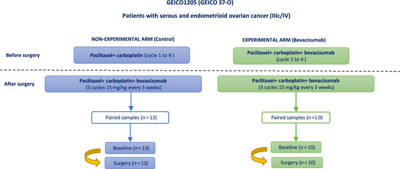 Figure 1. Design of the clinical trial GEICO1205. Patients with ovarian cancer in stage IIIc/IV were initially treated with chemotherapy based on paclitaxel and carboplatin in both arms. Experimental arm was treated with bevacizumab in addition to the previous chemotherapy scheme. After surgery, both groups received bevacizumab every 3 weeks. In this study, matched samples pre- and postsurgery were analyzed to study the potential changes in the TME related to the differential treatment. This figure has been created on the basis of the information published in the article by García García and colleagues (8).