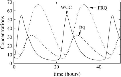 FIGURE 11