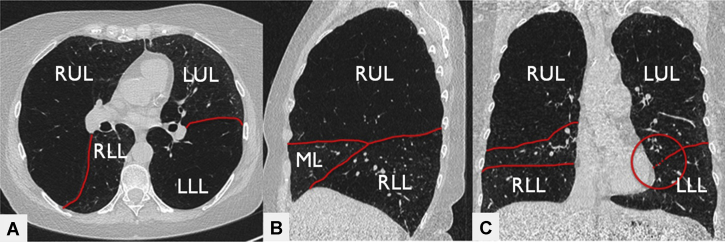 Figure 3