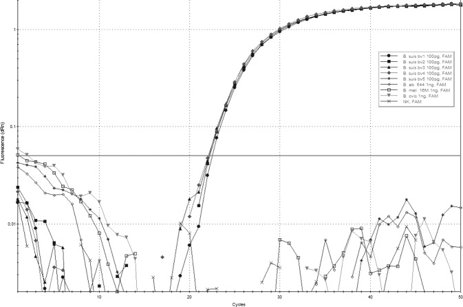 FIG 6: