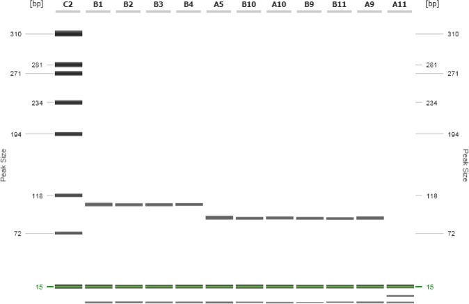 FIG 2: