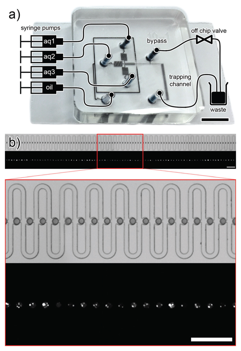 Fig. 2