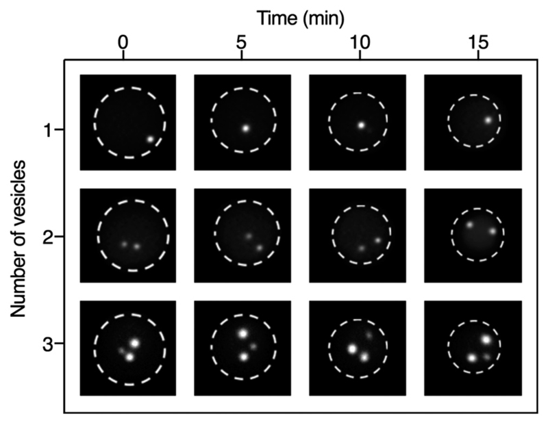 Fig. 4