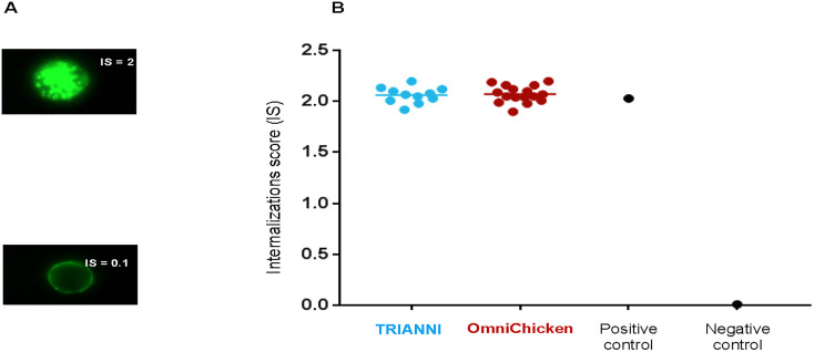 Fig 4