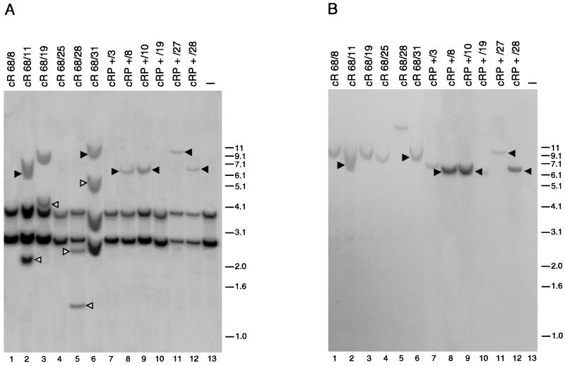 FIG. 6