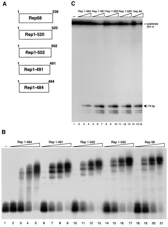 FIG. 3