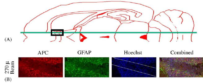 Fig. 9