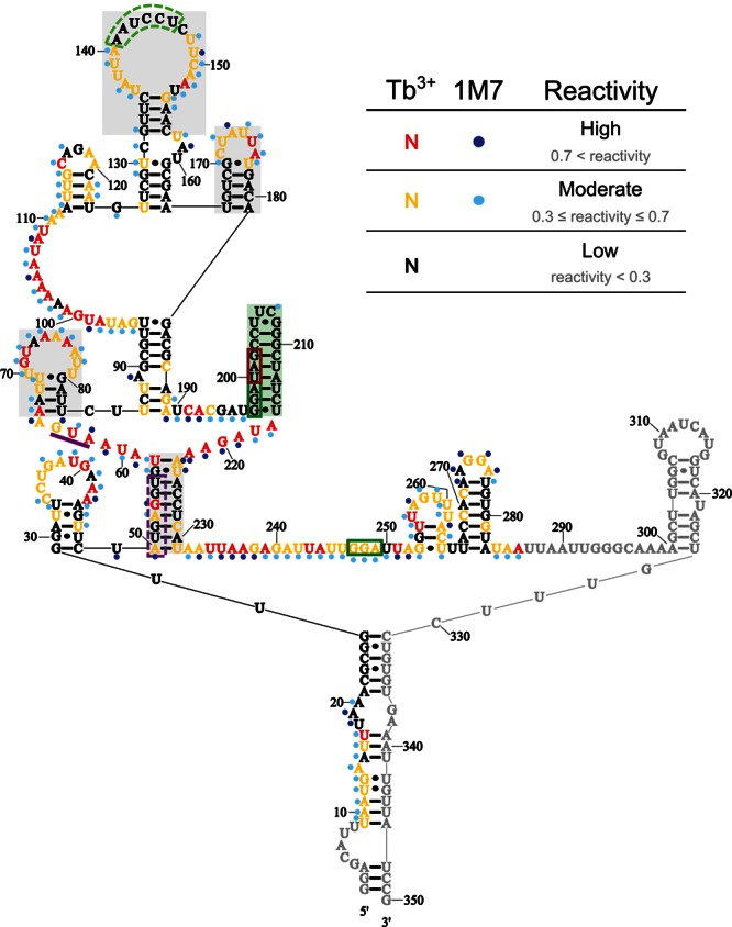 FIGURE 7.