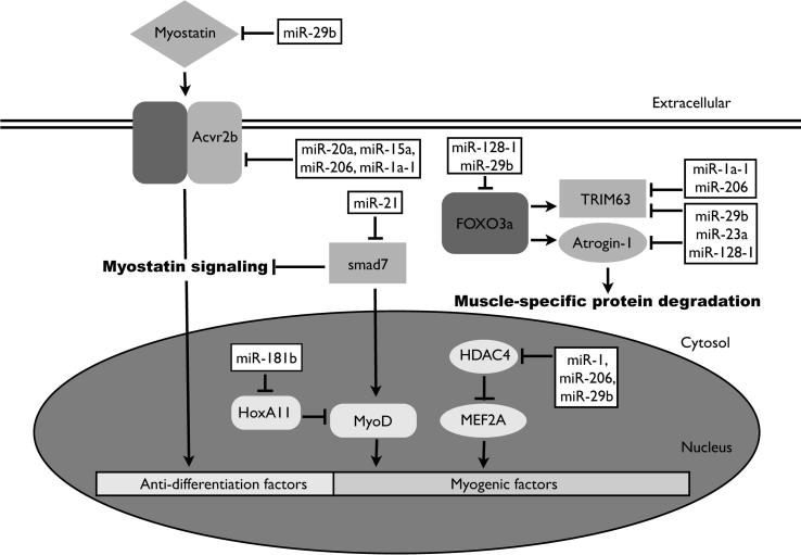 Supplementary Fig. 1