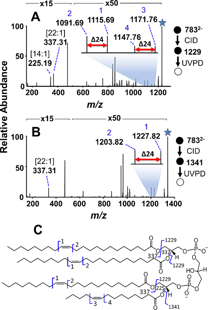 Figure 2: