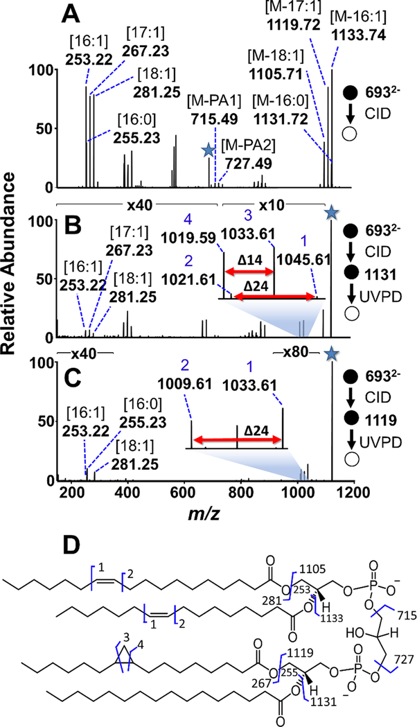 Figure 3: