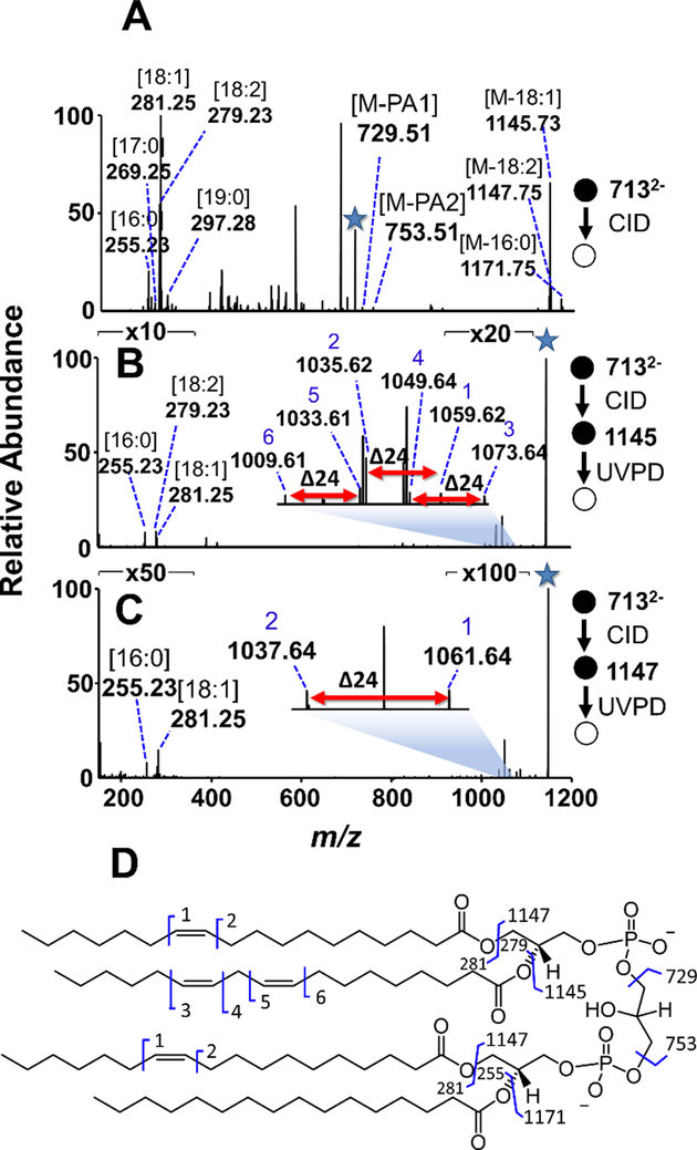 Figure 4: