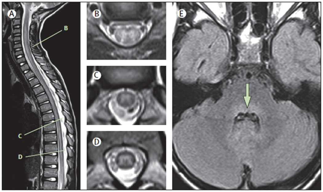 Figure 1: