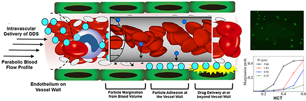 graphic file with name nihms-984649-f0001.jpg