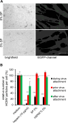 FIG 8