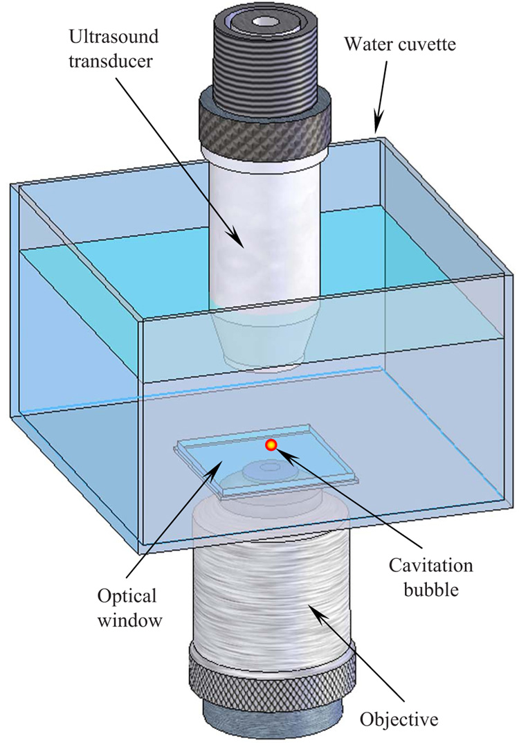 Fig. 1