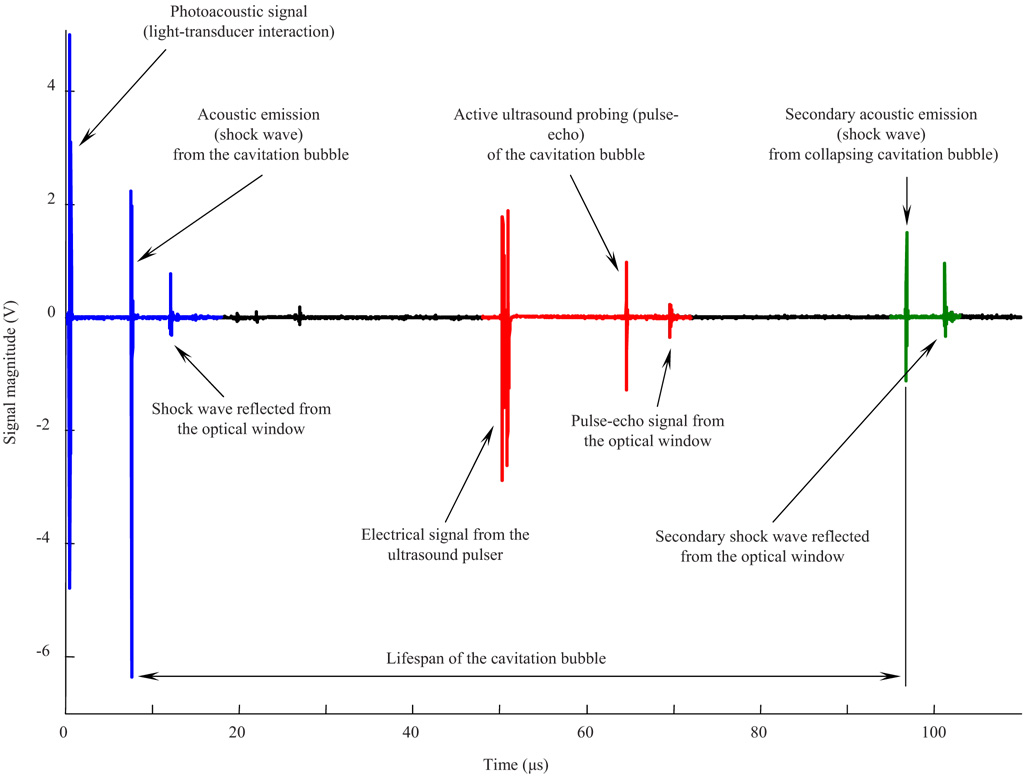 Fig. 2