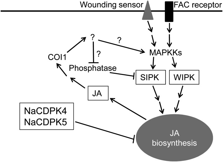 Figure 10.