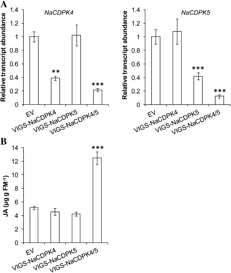 Figure 5.