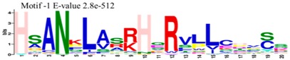 graphic file with name molecules-23-01763-i001.jpg