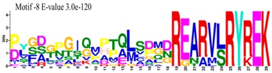 graphic file with name molecules-23-01763-i008.jpg