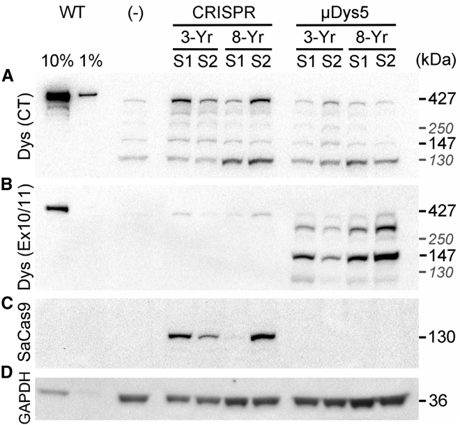 Figure 5