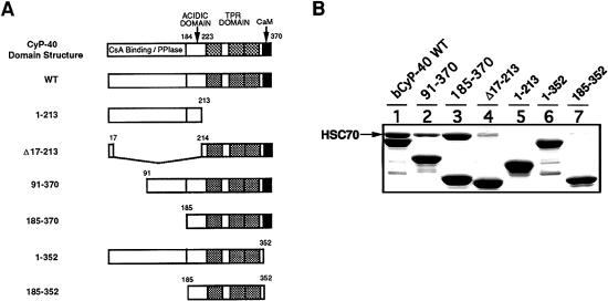 Fig 2.