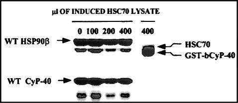 Fig 6.