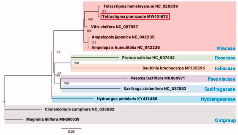 Figure 1.