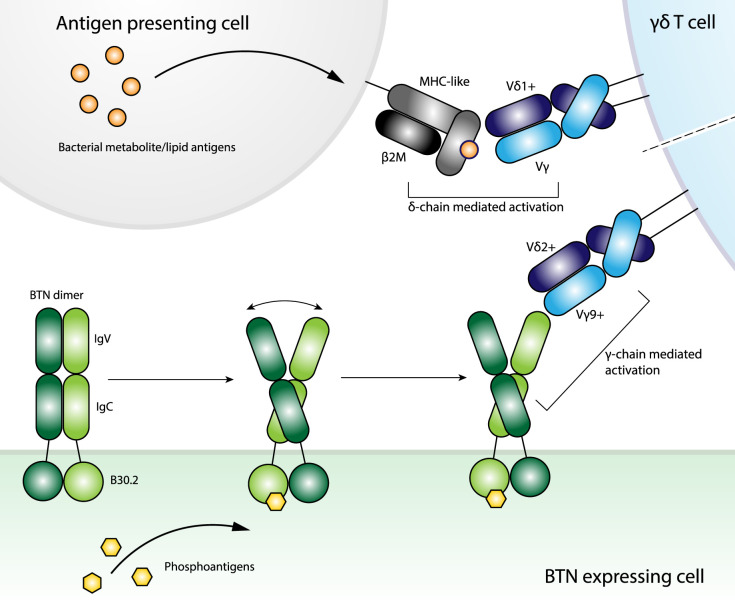 Figure 3.