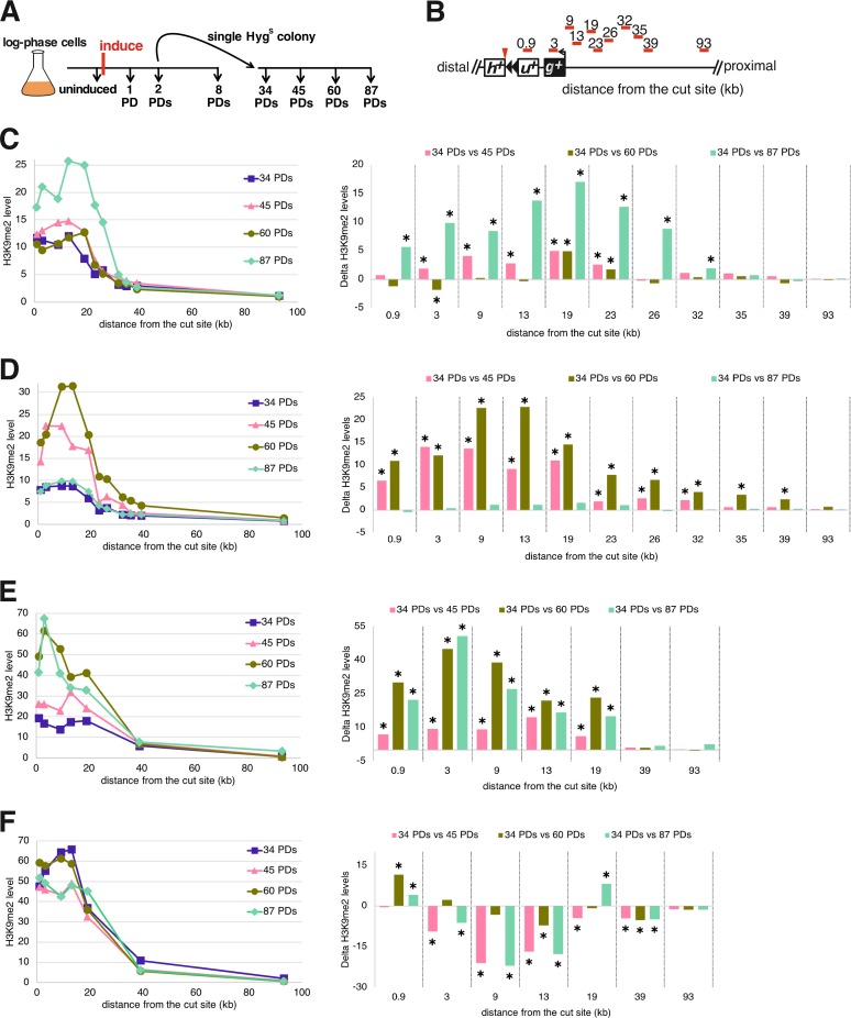 FIG 12