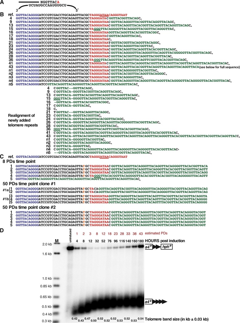 FIG 4