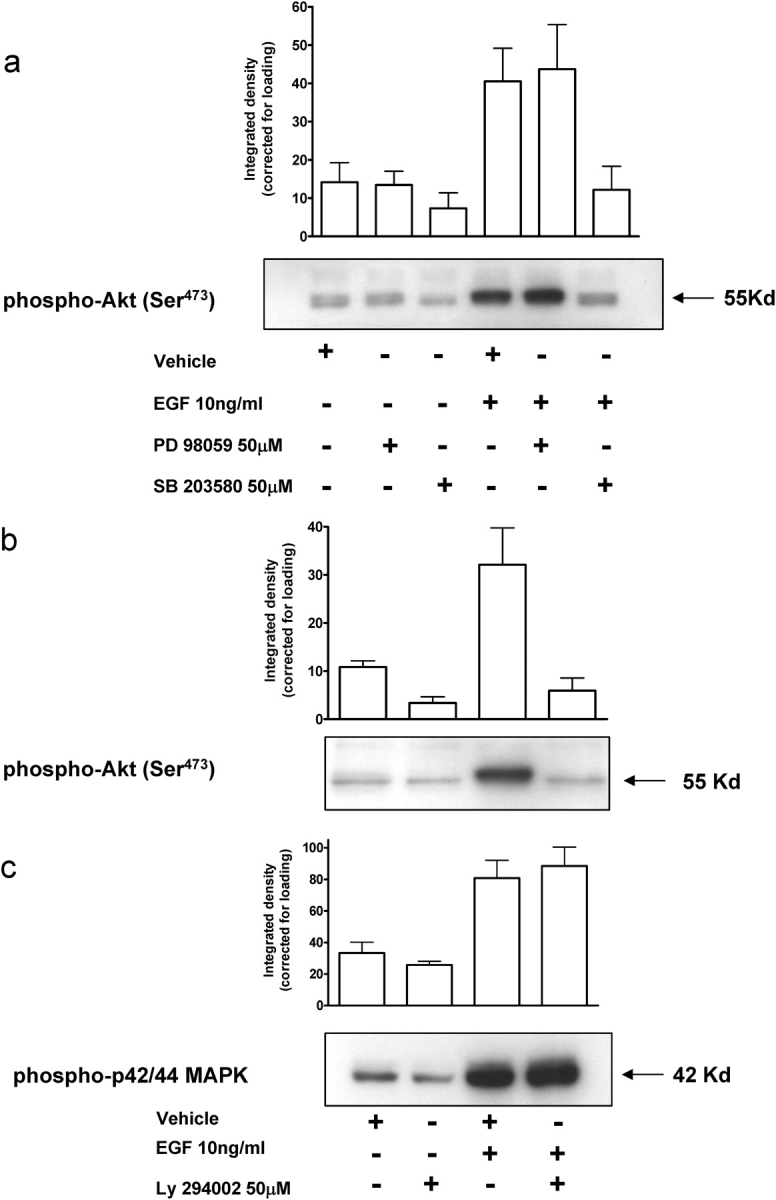 Figure 7: