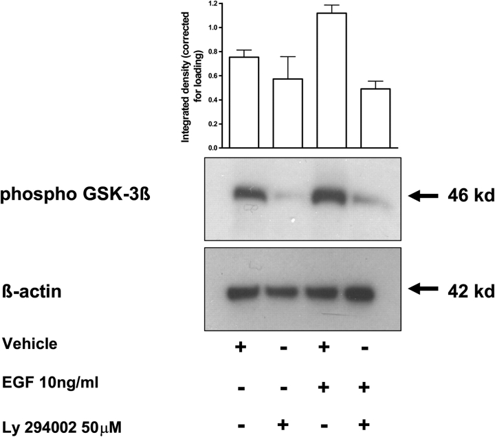 Figure 5: