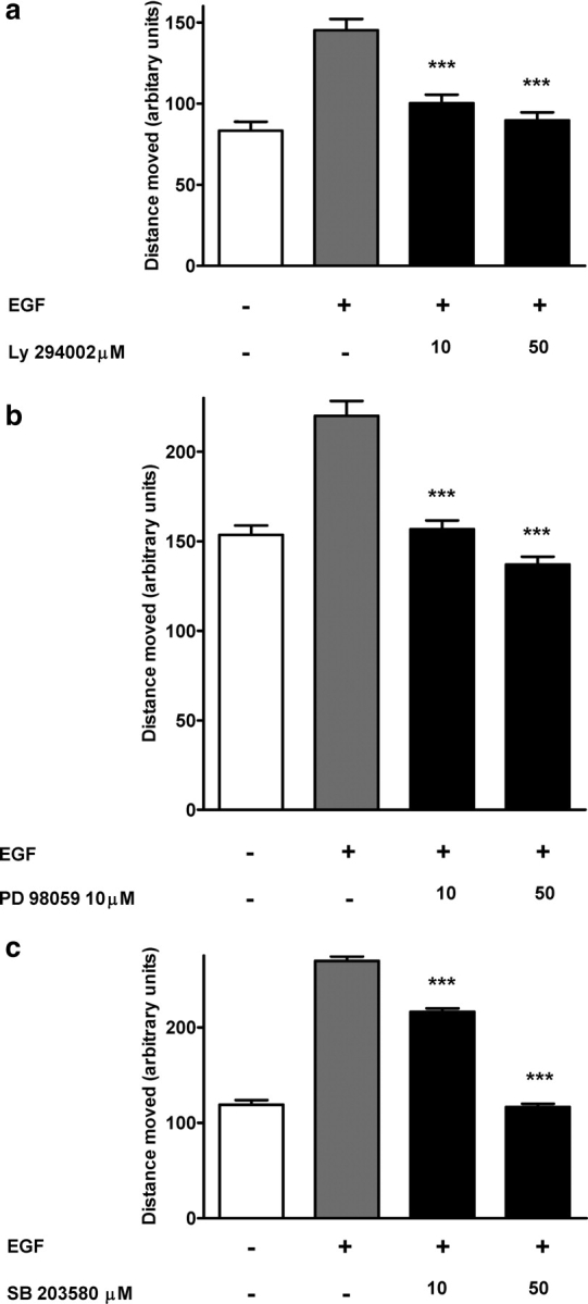 Figure 2: