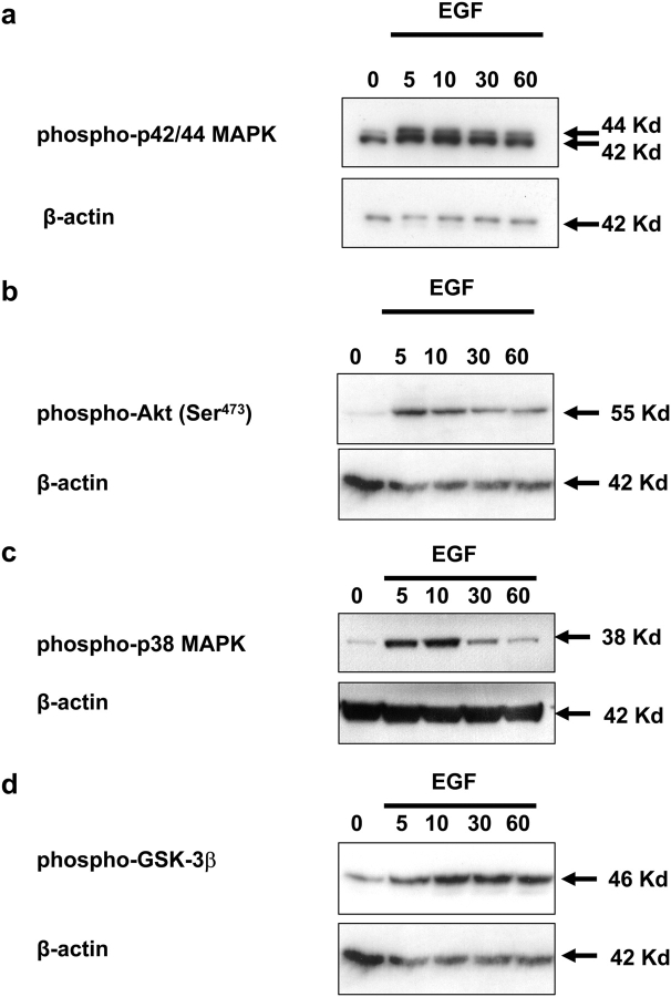 Figure 3: