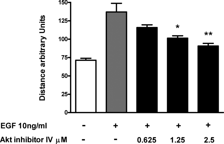 Figure 4: