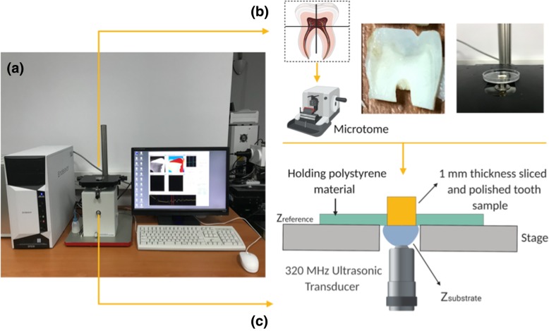 Fig. 2